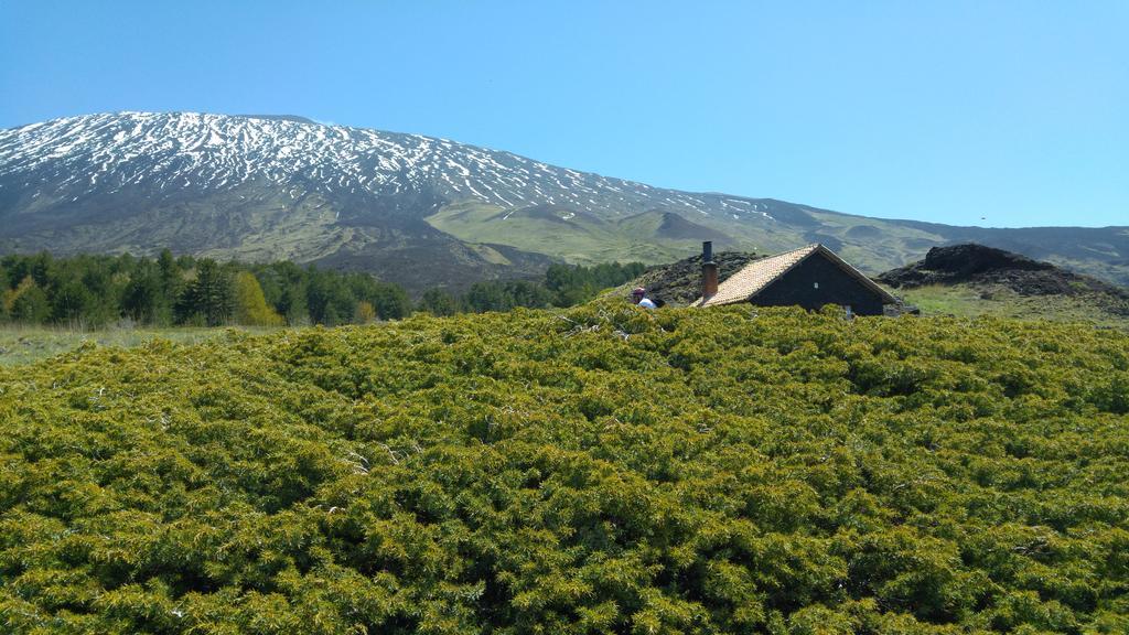 Etna Bike Holiday Zafferana Etnea Dış mekan fotoğraf