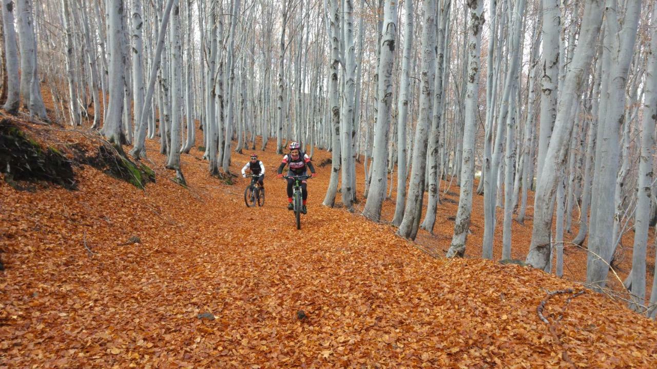 Etna Bike Holiday Zafferana Etnea Dış mekan fotoğraf