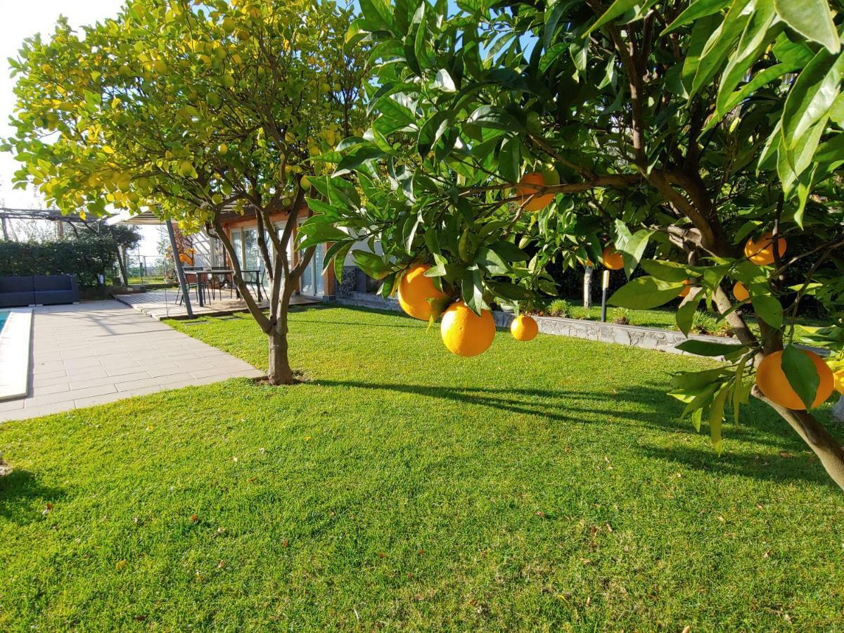 Etna Bike Holiday Zafferana Etnea Dış mekan fotoğraf