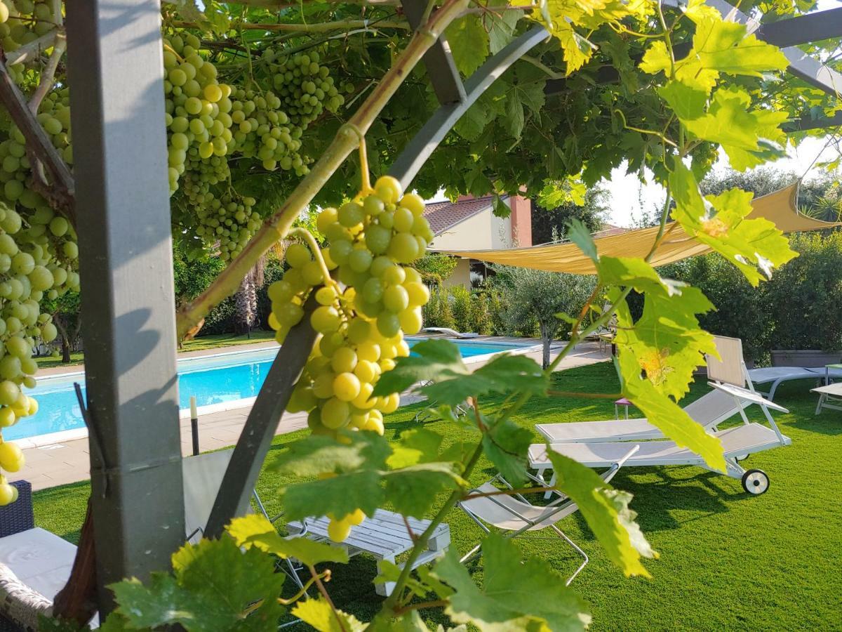 Etna Bike Holiday Zafferana Etnea Dış mekan fotoğraf